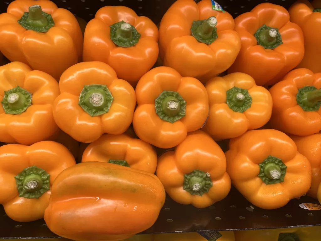 Orange peppers, all packed stem side toward the viewer.