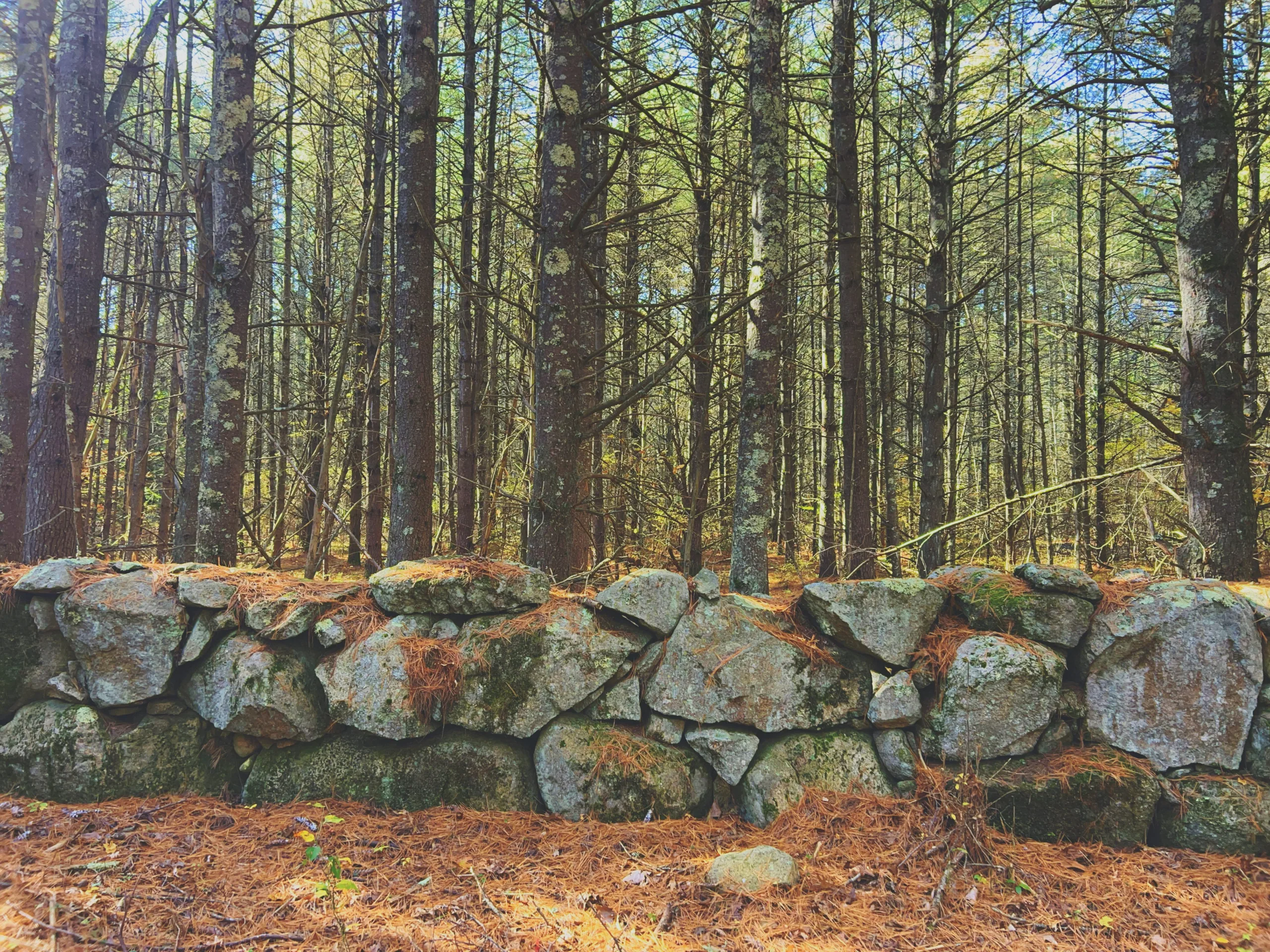 How I Commit to WordPress Core
