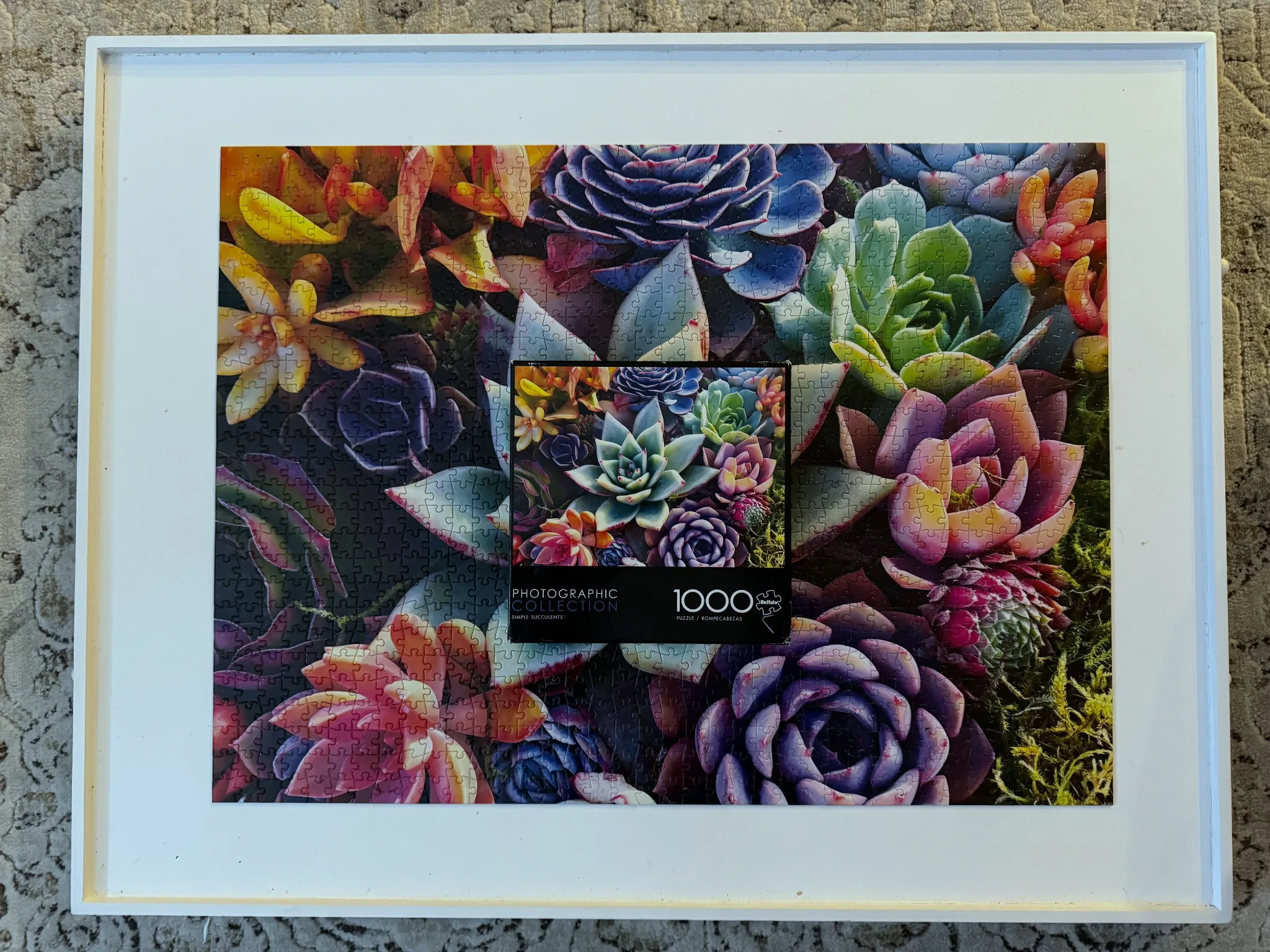 A completed puzzle of colorful succulents on a white puzzle board.