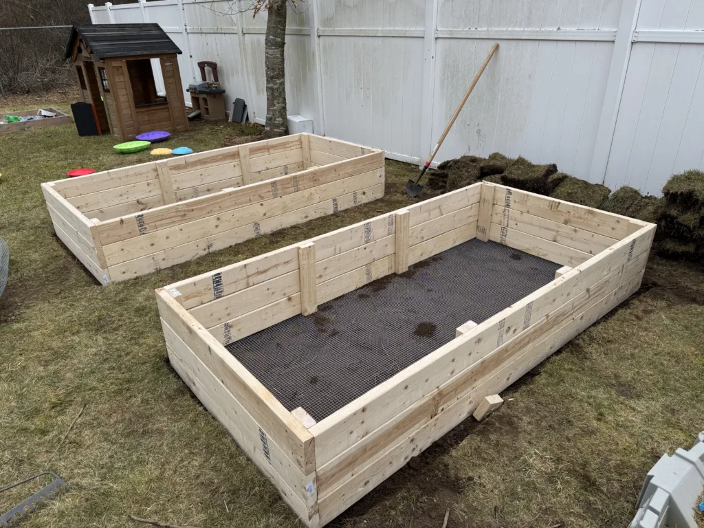 Two 4'x8' raised garden beds made with dimensional lumber.